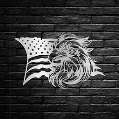 American Flag and Bald Eagle Head Metal Wall Art